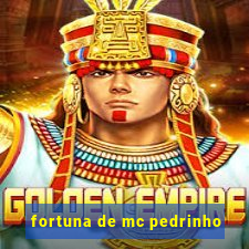 fortuna de mc pedrinho